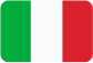 Wirtschaftsprüfungsfirmen Italiano